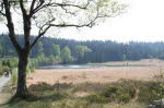 Schwarzbach2